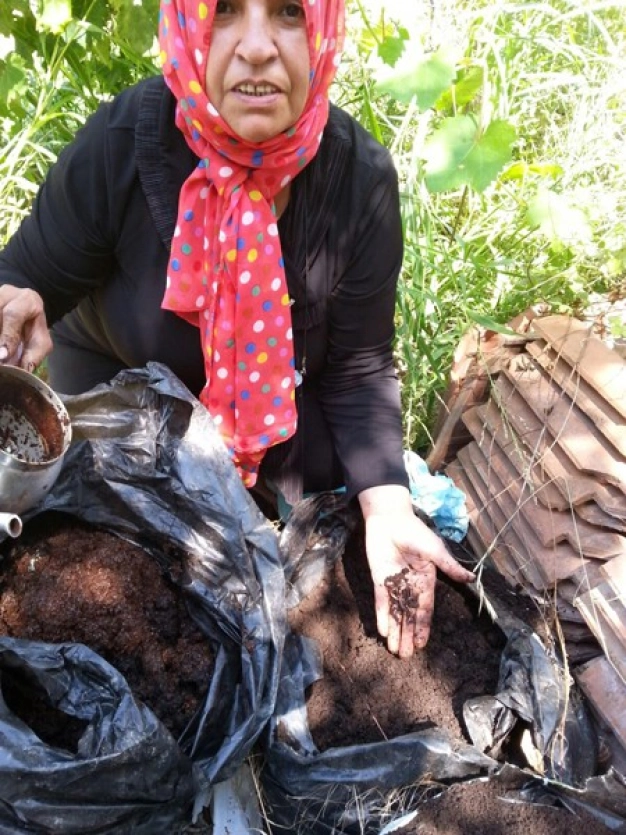 Üç başarı hikayesi