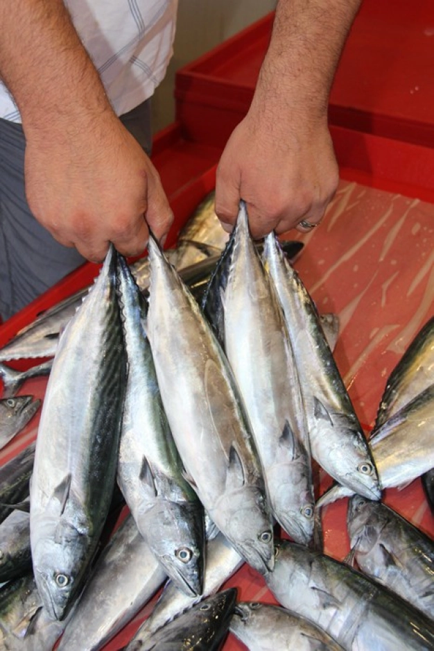 Balık e-mezatta umut hamside