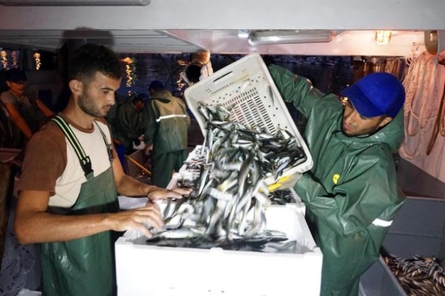 Balık e-mezatta umut hamside