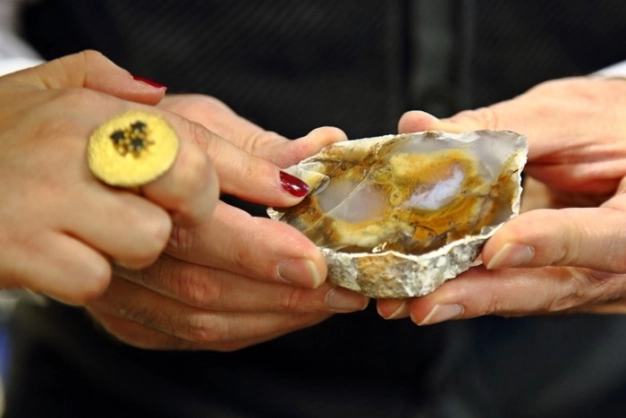 A whole new world of education: İstanbul Commerce University