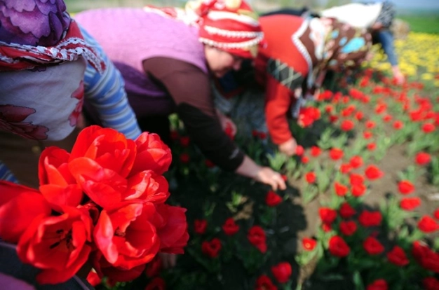 Çiçeği seviyoruz ama pazarı büyütemiyoruz