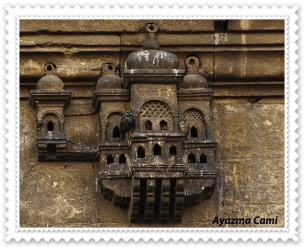 Bu şehirde kuşların bile evi var