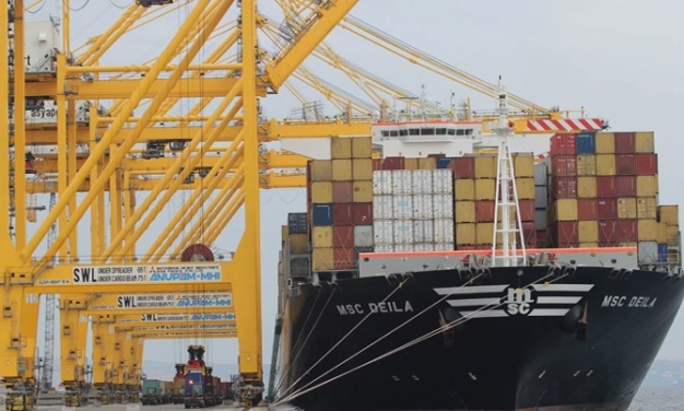 Firmaya özel ihracat programı hazır