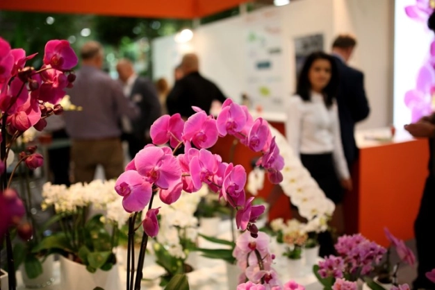 Perakende kümelenme ve ihracata odaklanıyor