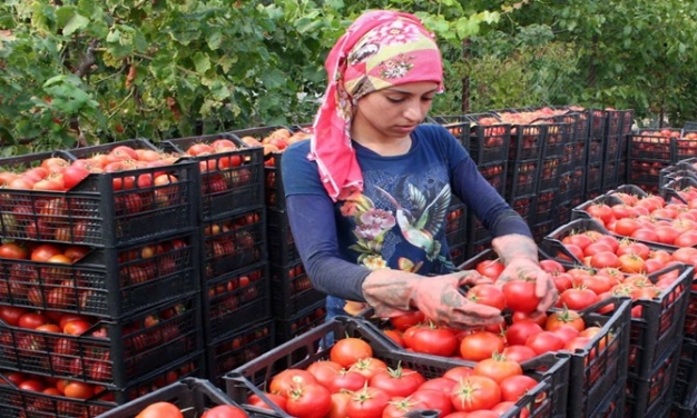 Gıda sektörü ‘fuar’ı konuştu