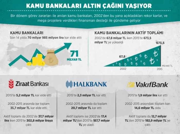 Kamu bankaları altın çağında
