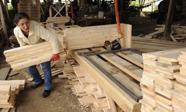 Orman ürünleri rekabetçi piyasa istiyor