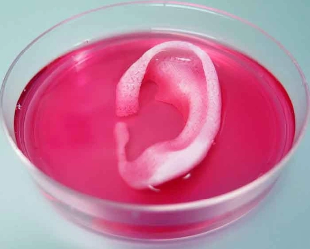 Üç boyutlu biyolojik baskı