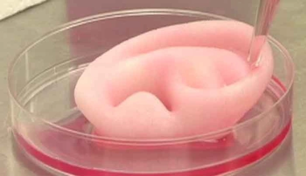 Üç boyutlu biyolojik baskı