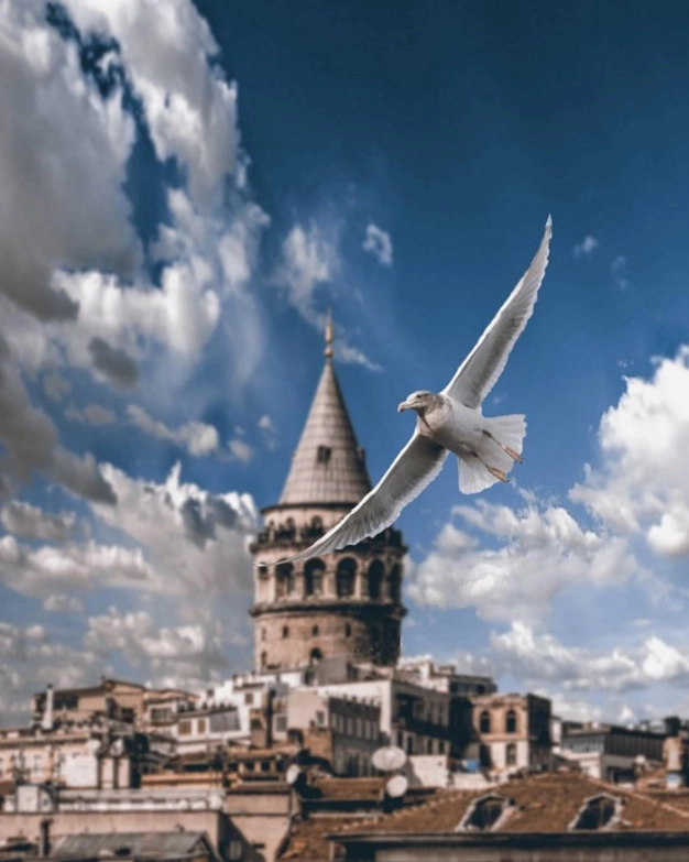 En popüler şehir İstanbul