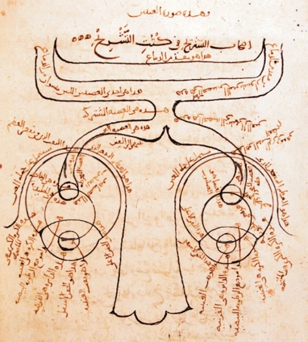 Ortaçağ’ın ‘ışığı’ oldu