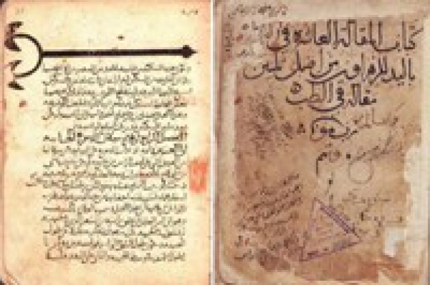 Böbrek ameliyatını yapan ilk hekim