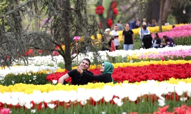 Meydanı lale bahçesine çeviren halı