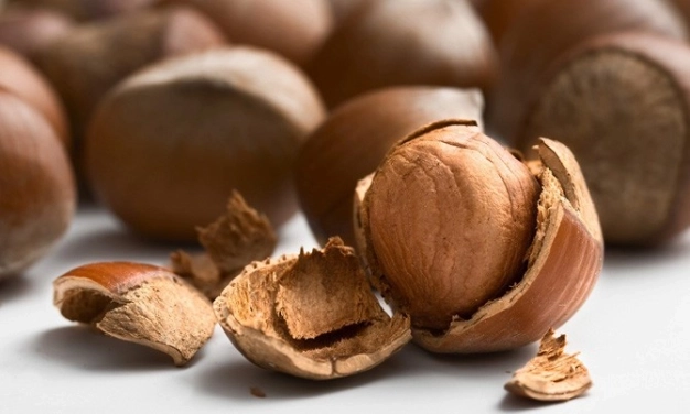 Artık laboratuvarda üretilecek