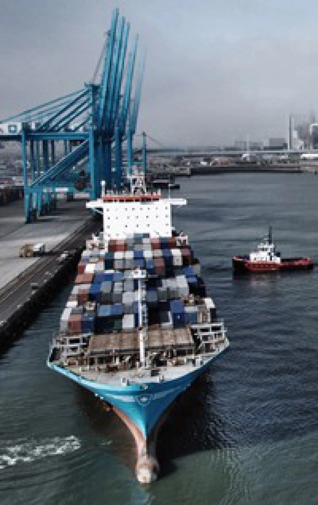 Küresel girişimciler bu bölümde yetişiyor