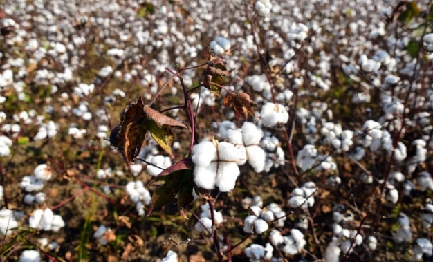 Kamu alacağında zaman aşımı düzenlemesi