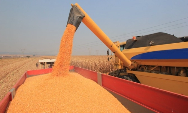 Gıdada farkındalık projesine AB desteği