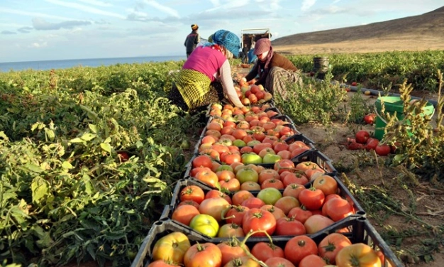 Destek için son tarih 3 Ekim