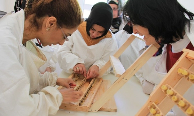 Arı sütü üreterek para kazanacaklar