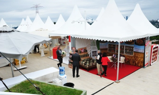 Nohuttan ekmek mercimekten cips yaptılar