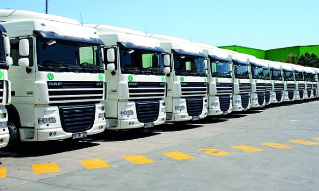 Filonuzu sigortalarken standartları aşın