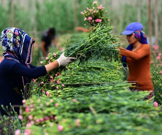 Çiçekçiler finansal can suyu bekliyor