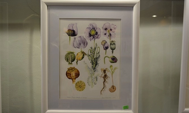 Altı sanat birden Hünkar Kasrı’nda