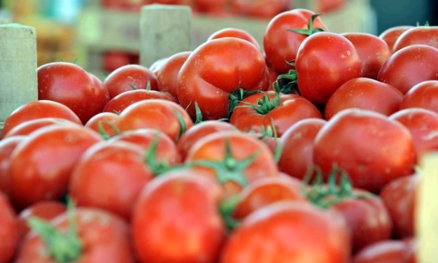 Temmuzda en fazla domates fiyatı arttı