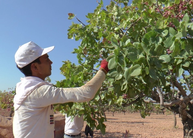 Çiftçiye 8 ayda 8.9 milyar liralık destek
