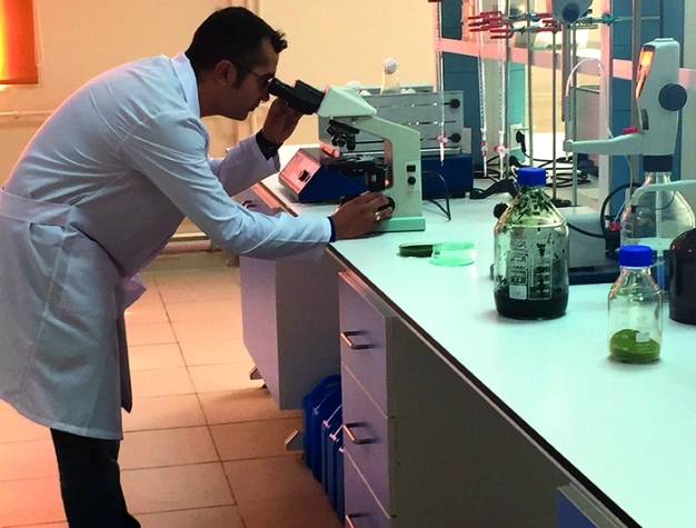 Dış ticarette açık azaldı