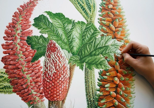 Türkiye’nin eşsiz bitkileri 28 ciltte toplanıyor