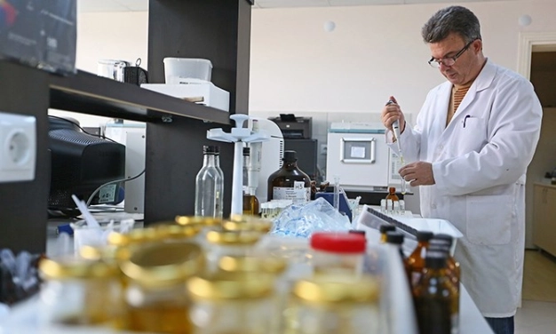 Gıdada denetim karnesi