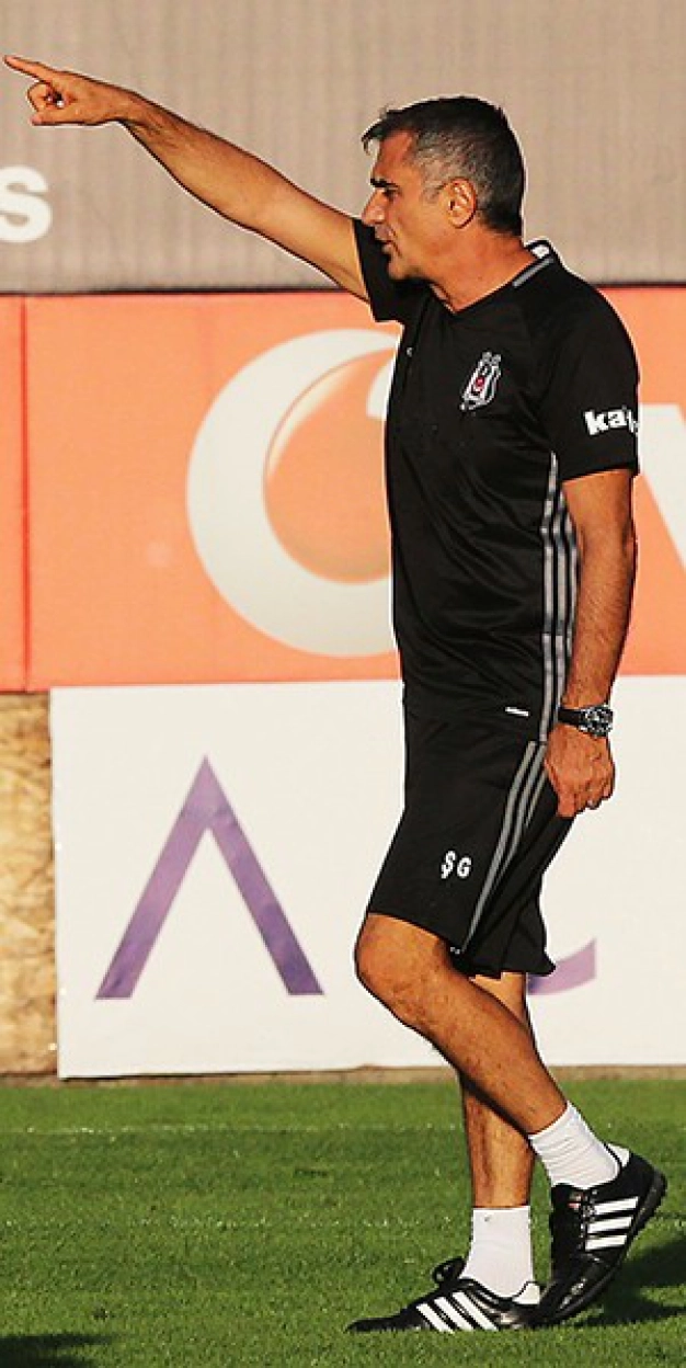 Hem ekonomik hem yerli