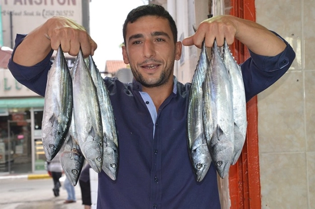 Denizlerde palamut bereketi!