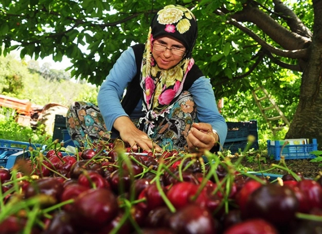 Fiyatta otokontrol sağlayacak