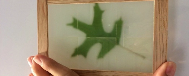 Ahşap artık cam kadar şeffaf