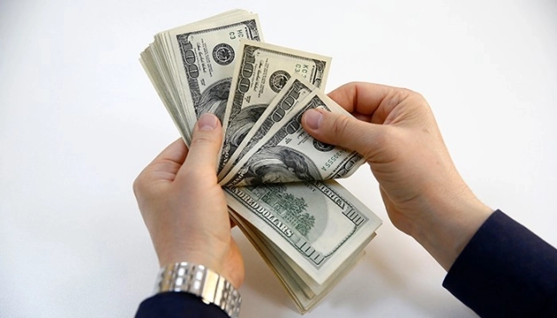 Sermaye girişi 2017'de 32 milyar dolara çıkacak