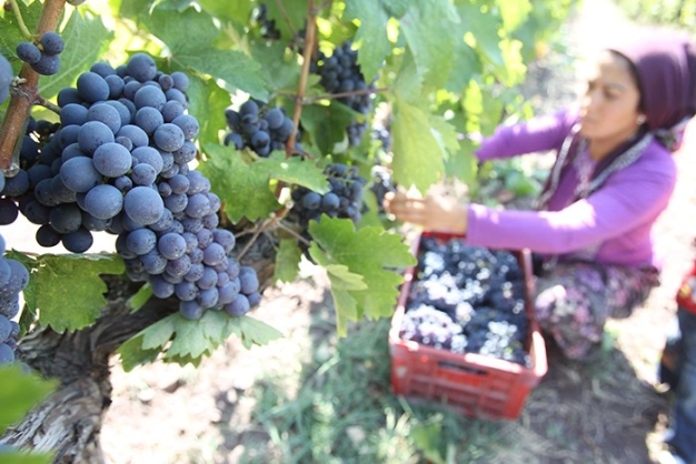 Devlet seneye daha çok yatırım yapacak