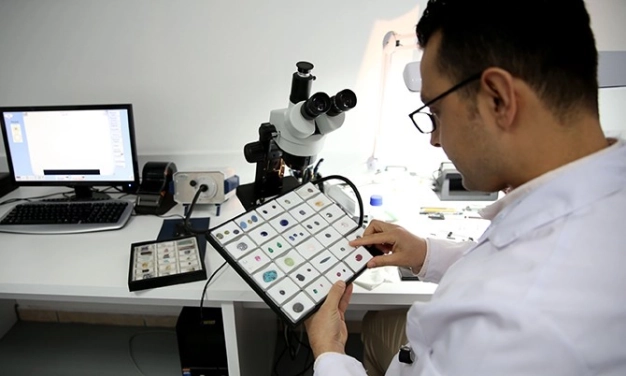 Vergi tatile giriyor