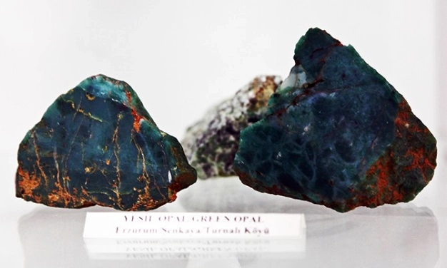 Erzurum Zümrütü gün yüzüne çıkıyor