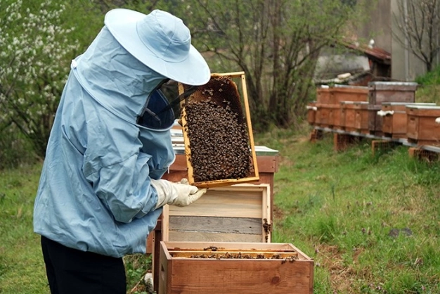 Balımızdan katma değer damlayacak