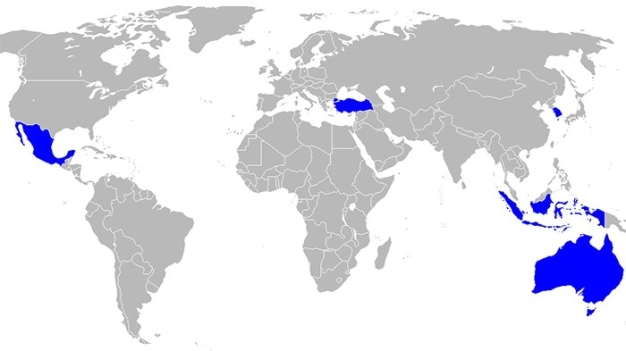 Yeni bölgesel birliğin lideri Türkiye