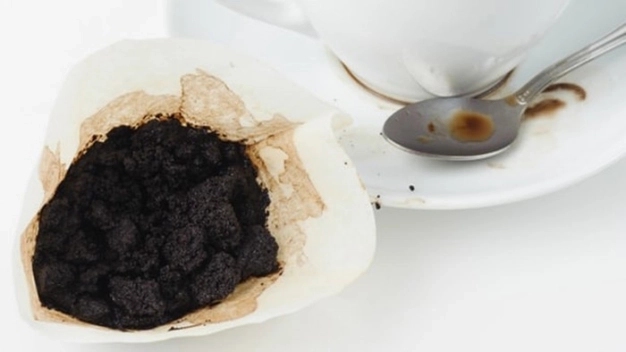 Bahçe işleri Kobi’ye emanet