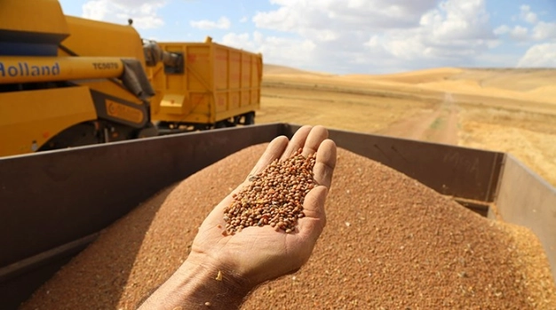 Bakliyatta 40 milyar dolarlık ‘stratejik’ rekabet