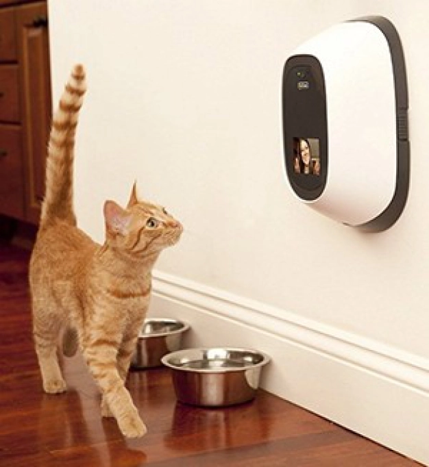 Evcil hayvanlar da telefonun kapsama alanında