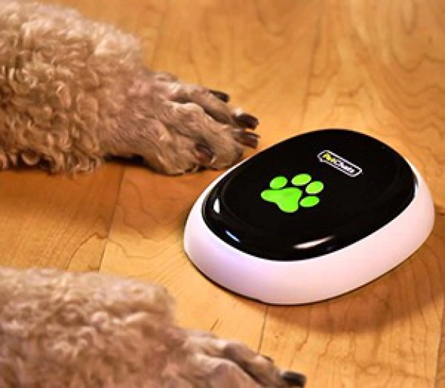 Evcil hayvanlar da telefonun kapsama alanında