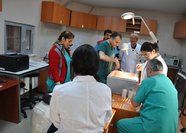 Çalışan, buluş yapmaya özenecek