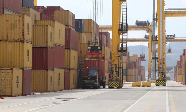 Pazara giriş ve tedarik zincirine özel destek