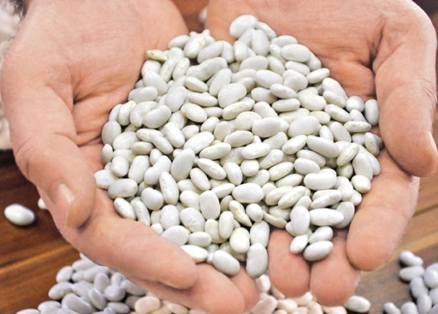 İthal ‘kuru’ya eylüle kadar vergi yok