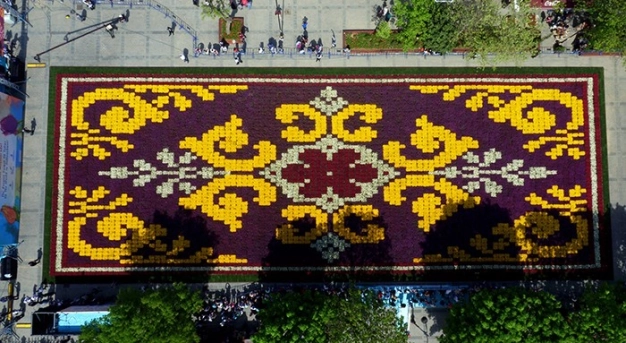 1453 onuruna 1453 metrekarelik lale halısı